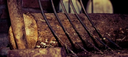 mezcal_artesanal_mexcalito_03