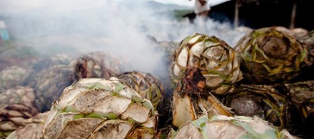 mezcal_artesanal_mexcalito_04